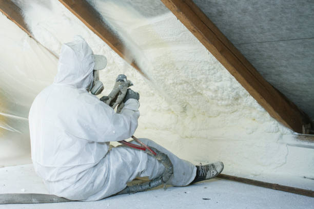 Professional Insulation Services in Brentwood, MD