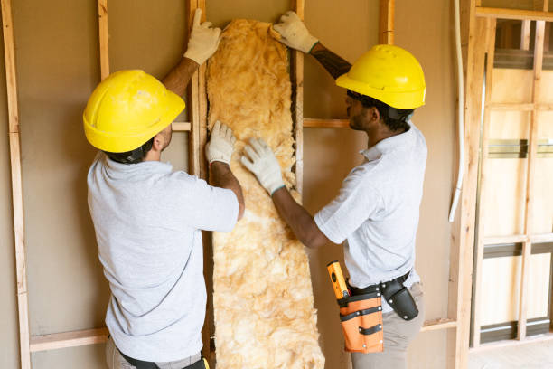 Best Eco-Friendly Insulation Solutions  in Brentwood, MD